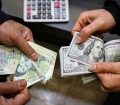 بازگشت دلار به کانال ۸۰ هزار تومان/ بازار فروشنده شد