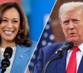 چرا هریس و ترامپ هر دو آماده اعلام پیروزی هستند؟