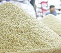 سودجویان برنج شمال را احتکار کرده‌اند/ گره کار کجاست؟