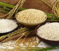 کاهش قیمت برنج در راه است