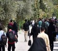 «دانشجویان سنواتی تنها نمی‌مانند؛ خدمات رفاهی پابرجاست»