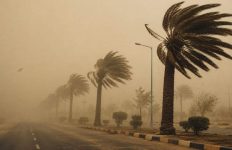 باد ۱۰۸ کیلومتری در زابل